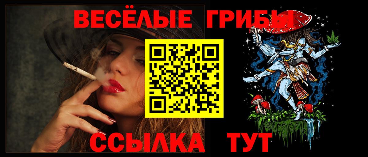 Галлюциногенные грибы Psilocybine cubensis  Вход с VPN  Галлюциногенные грибы GOLDEN TEACHER  Коркино 